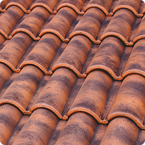 Красная состаренная (Roje Envejecida)