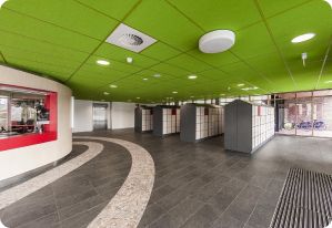 Рокфон Колорол