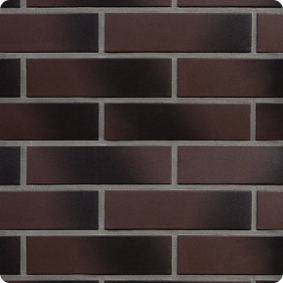 Европа Амстердам Шейд